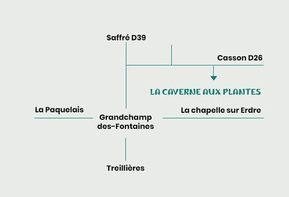 LA CAVERNE AUX PLANTES